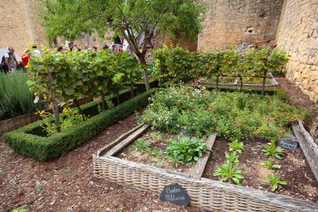 Plantes "utilitaires"