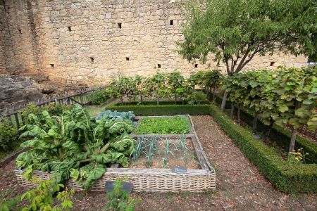 Le potager qui ne devait pas suffire à nourrir la population